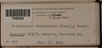 Image Associated With the Occurence